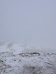 IMG_2712