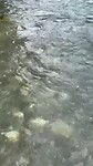 Camping IMG_2195