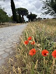 Via Appia