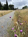 Via Appia