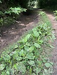 IMG_4146