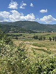 IMG_4243