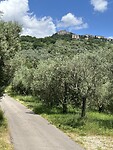 IMG_4310