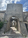IMG_4319