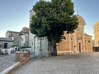 IMG_4347