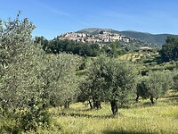 Veroli