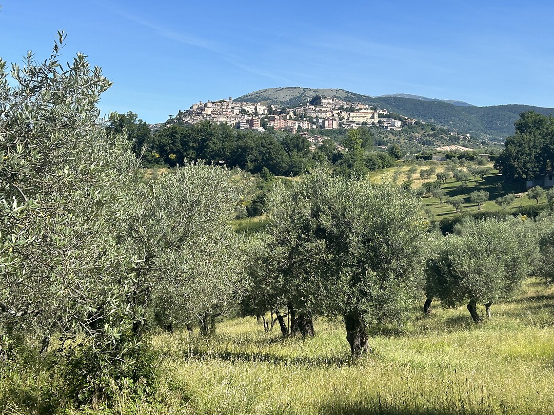 Veroli