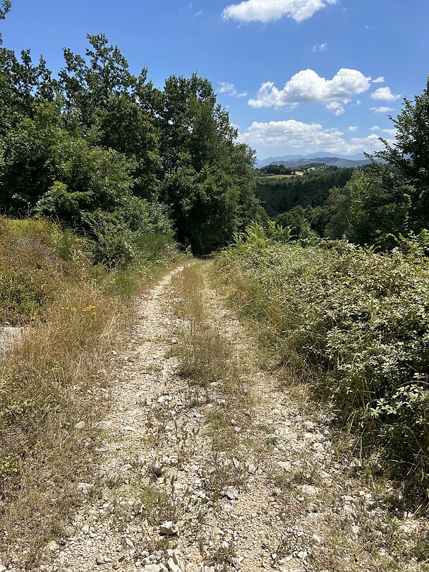 Route