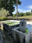 Waterpunt