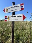 IMG_4554