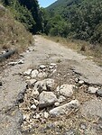 IMG_4584