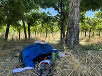 IMG_4588