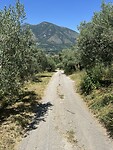 IMG_4593