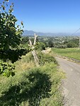 IMG_4563