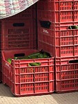 IMG_4705
