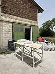 IMG_4737