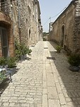 IMG_4761