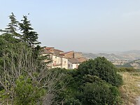 IMG_4769