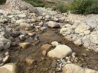 IMG_4830