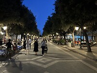 IMG_4940