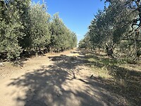 IMG_4947