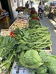 IMG_4954