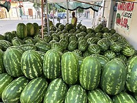 IMG_5003