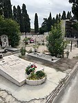 IMG_5007