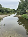 IMG_5022