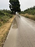 IMG_5049