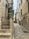 IMG_5095