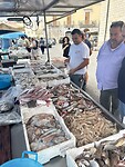 IMG_5113