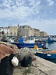 IMG_5131