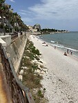 IMG_5139