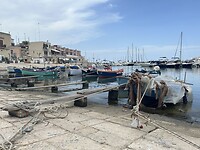 IMG_5156