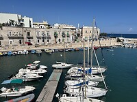 IMG_5180