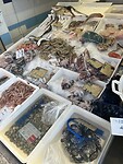 IMG_5197