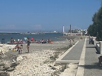 IMG_5204