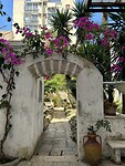 IMG_5249