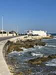 IMG_5283