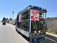 IMG_5298