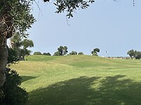 IMG_5380