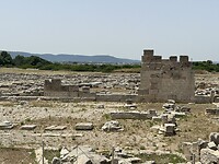 IMG_5373