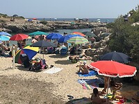 IMG_5365