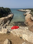 IMG_5474
