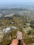 IMG_5458
