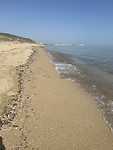 IMG_5420