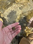 IMG_5452