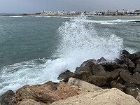 IMG_5499