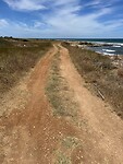 IMG_5542